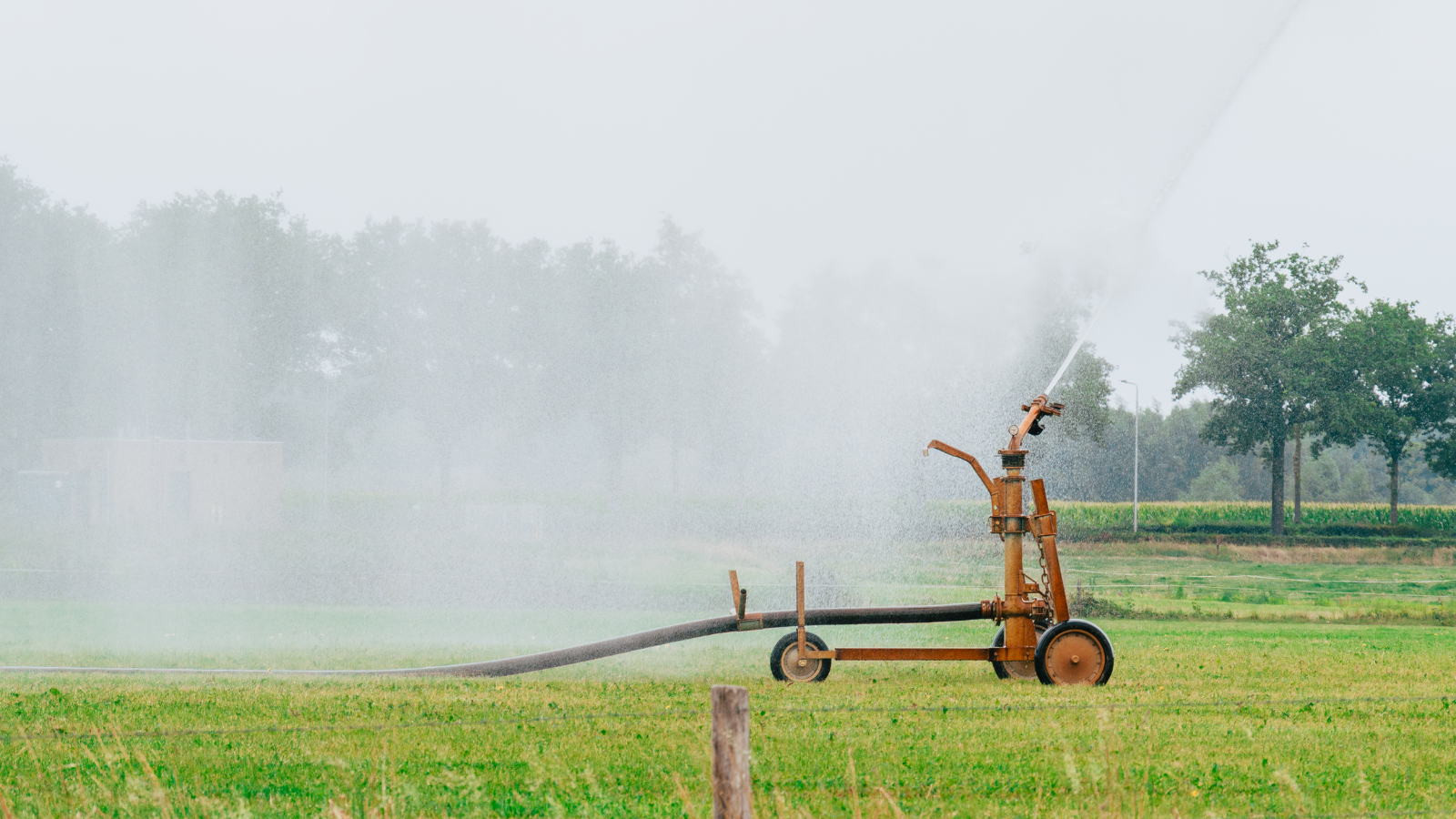 An agricultural irrigation gun watering a Yakima Valley field, with mist drifting across the green crop rows